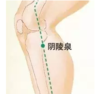 保养子宫的十大特效穴位——阴陵泉穴 商品缩略图0