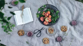 塑料姐妹花出游野餐指南