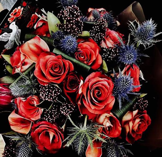 德文诗歌诵读Agnes（阿克娜丝 Mörike Lieder No.14） 商品图0