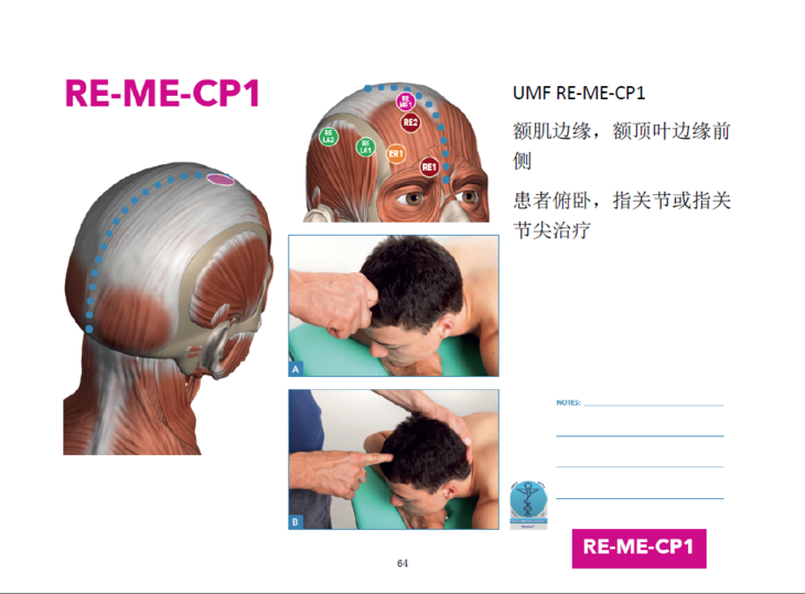 【level2】讲义 图谱 全彩色,超清晰,意大利fm筋膜手法课程讲义,中英