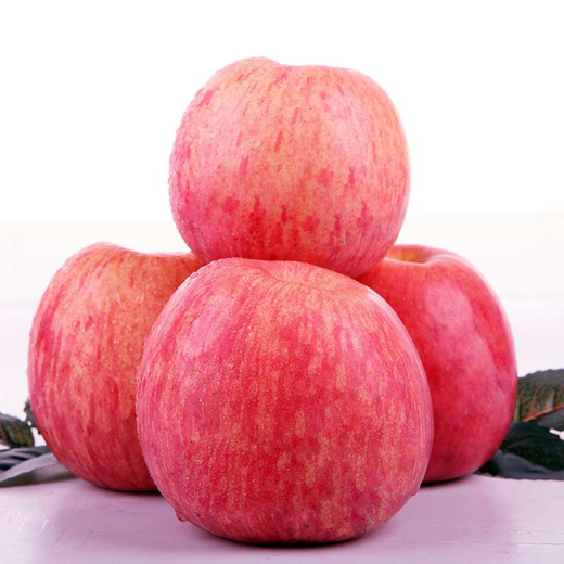 陕西延安富士苹果团购开始!