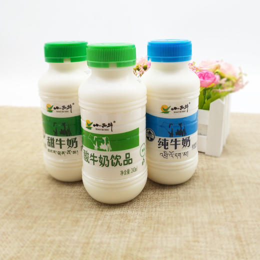 小西牛纯牛奶/甜牛奶/酸牛奶小瓶243ml