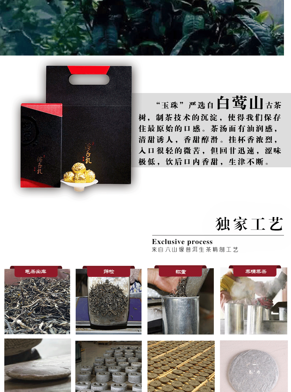 白莺山古树茶价格表图片