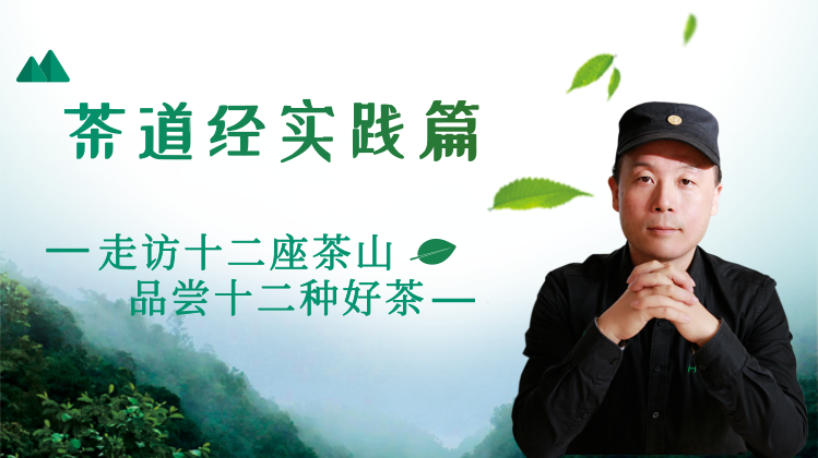 茶道经-茶山实践篇