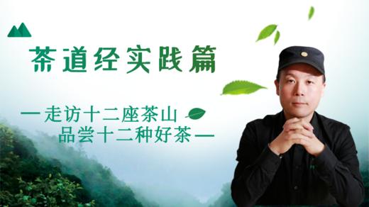 茶道经-茶山实践篇 商品图0