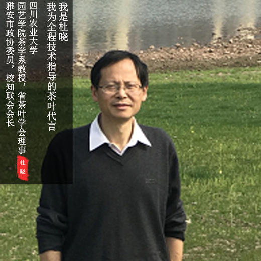 《杜晓教授代言》花楸茶业 王者之香 邛崃黑茶 40g盒装 商品图4