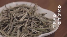 13.白茶的外形（白毫银针）