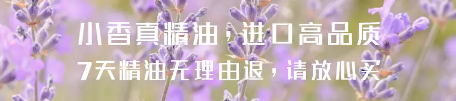 白兰花白玉兰花精油