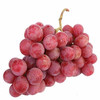 醉金香一号葡萄🍇 商品缩略图3