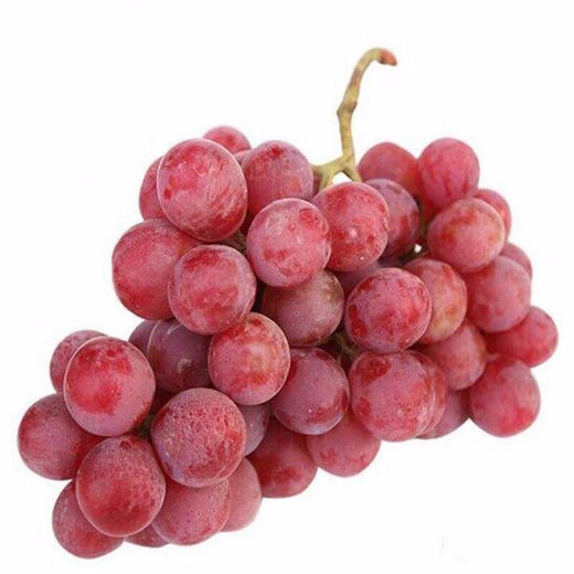 醉金香一号葡萄🍇 商品图3