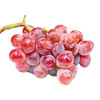 醉金香一号葡萄🍇 商品缩略图4