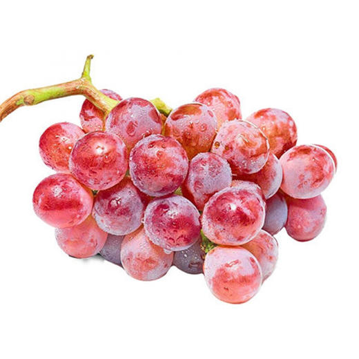 醉金香一号葡萄🍇 商品图4