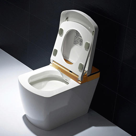 圣托玛斯-STC-9I智能马桶 商品图2