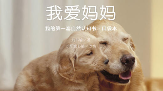 13.可爱的小猫咪 商品图0