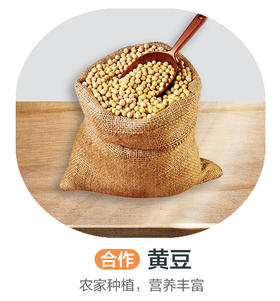黄豆（合作）