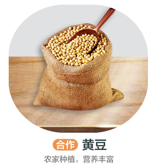 黄豆（合作） 商品图0