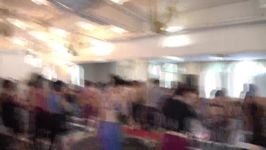 内观流战士 讲解 眼镜蛇当中的脊柱流动 商品图0