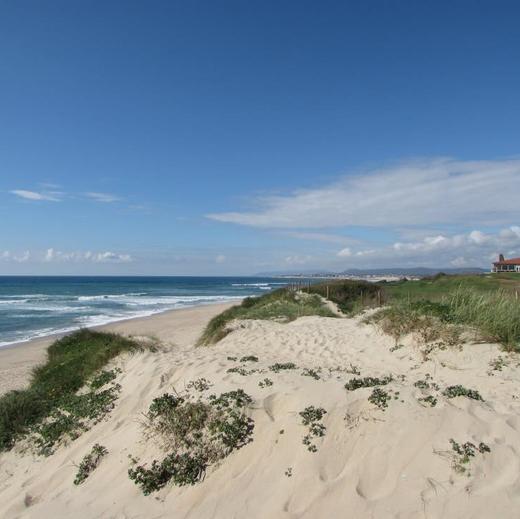 埃斯特拉高尔夫俱乐部 Estela Golf Club  | 波尔图高尔夫球场 | 葡萄牙高尔夫球场俱乐部 | 欧洲高尔夫 商品图1