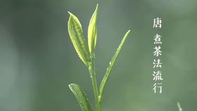 2.唐：煮茶法流行