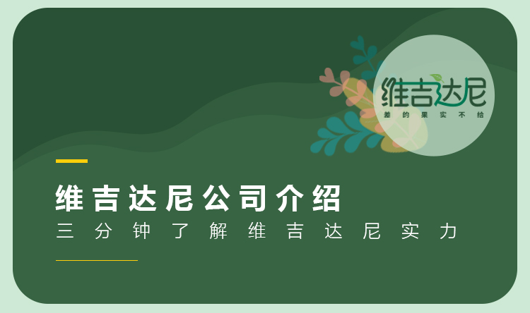 维吉达尼品牌介绍