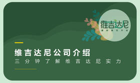 维吉达尼品牌介绍