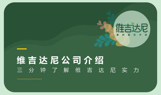 维吉达尼品牌介绍 商品图0