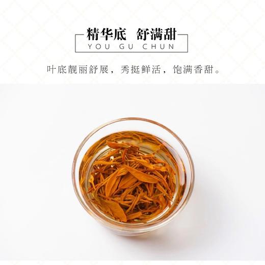 庄园新贵【骏眉 · 暖心红茶】有机庄园出品 商品图8