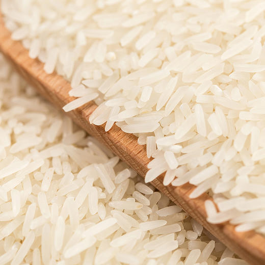 2020新米 洋县香米 朱鹮米"不抛光,不打蜡" 10斤装大米