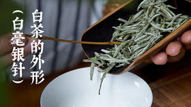 3.白茶的外形（白毫银针）