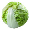 【农场发货】六里地现采圆白菜 商品缩略图0