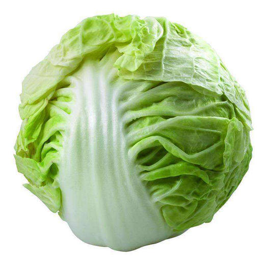 【农场发货】六里地现采圆白菜 商品图0