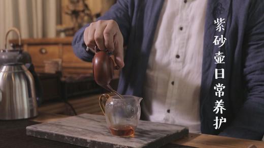 10.紫砂的日常养护 商品图0
