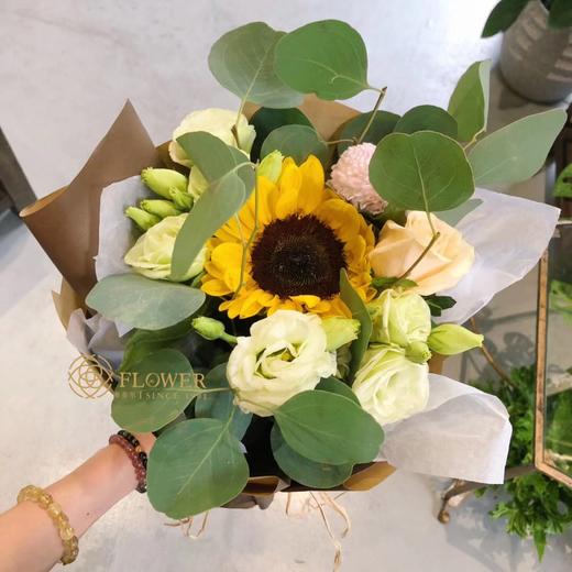 一举夺魁 商品图1