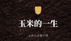 玉米的一生 商品缩略图0