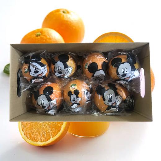 迪士尼伦晚橙1斤 商品图1