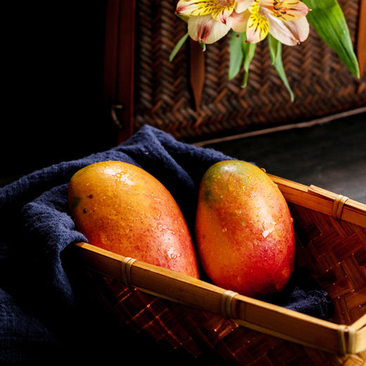 【产地直供】四川爱文芒果 五彩蜜芒 果肉甜厚多汁 新鲜产地直发