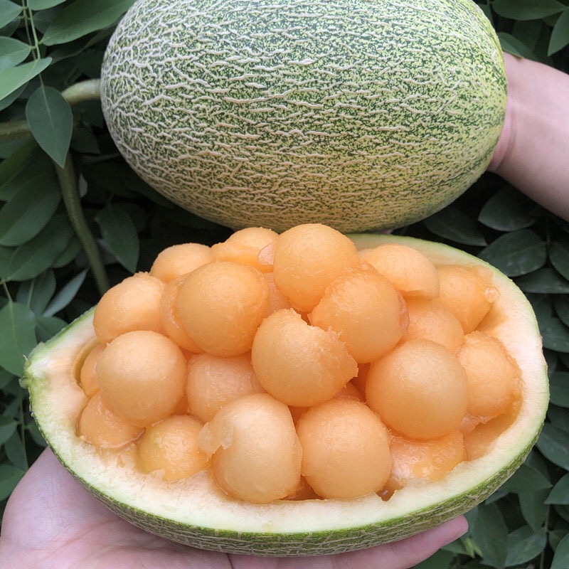 5~5斤2个装包邮仅19.9!一口甜蜜,满口清香!