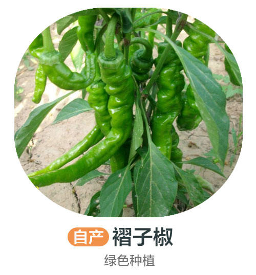 绿色褶子椒（优质合作）（±50g/份） 商品图0
