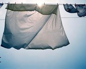 你每天都和600万螨虫一起入睡