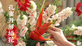 10.孔雀开屏主题插花