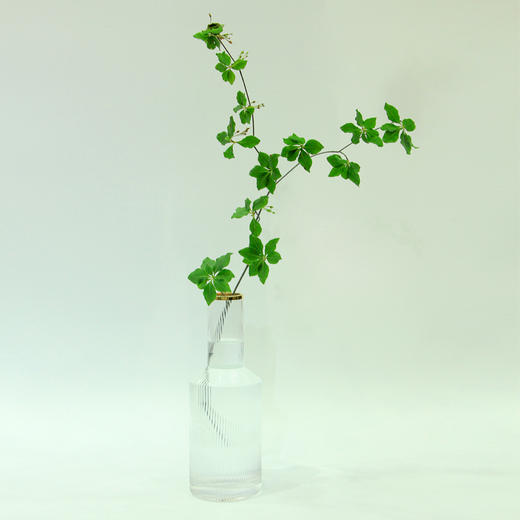 【周四团购】日本吊钟瓶插88元 三人拼团 商品图0