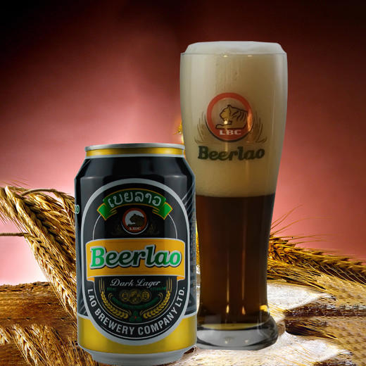 老挝黑啤 听装 330ml/罐 商品图2