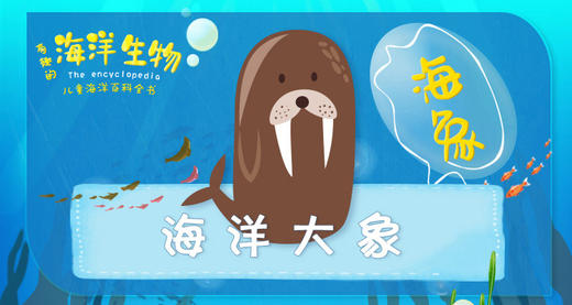 8.海洋大象 商品图0
