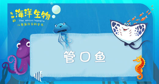 43.管口鱼 商品图0