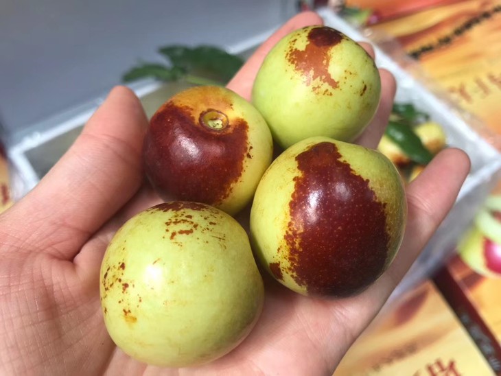 塔克拉玛干大漠 冬枣 颗颗松脆 蜜甜【2斤尝鲜 礼盒装】