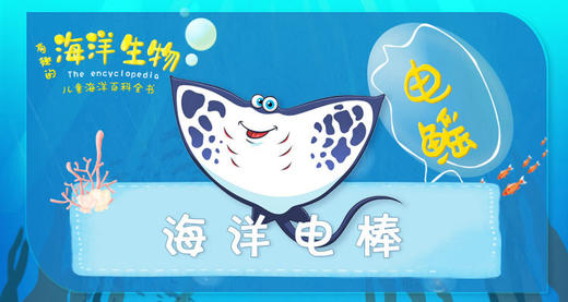 2.海洋电棒 商品图0