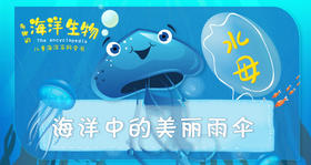 5.海洋中的美丽雨伞