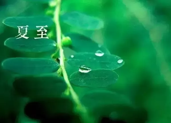 夏至养生 | 养心清暑，补充阳气的好时机。