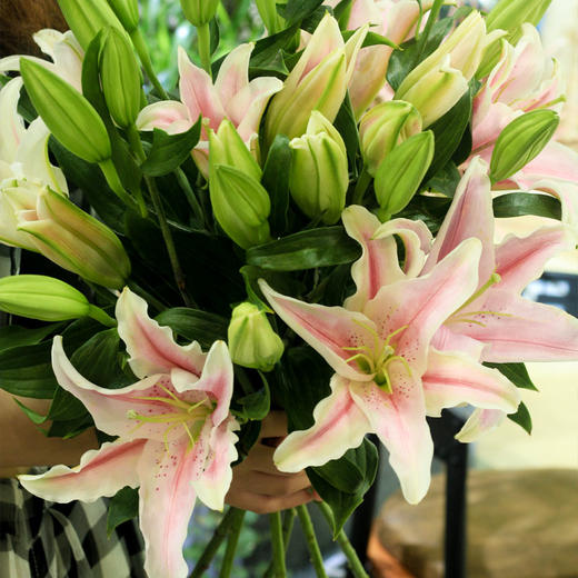 【周四秒杀】多头香水百合3枝29.8元  商品图1