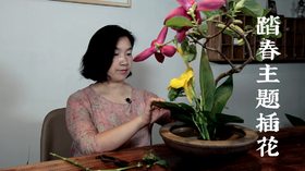 2.江晓鹿中式花道课